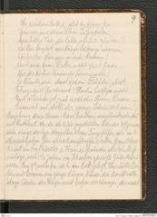 Seite 13, Tagebuch "Palästina (Tagebuch)" (NHMW-PRAE-BBB-80)
